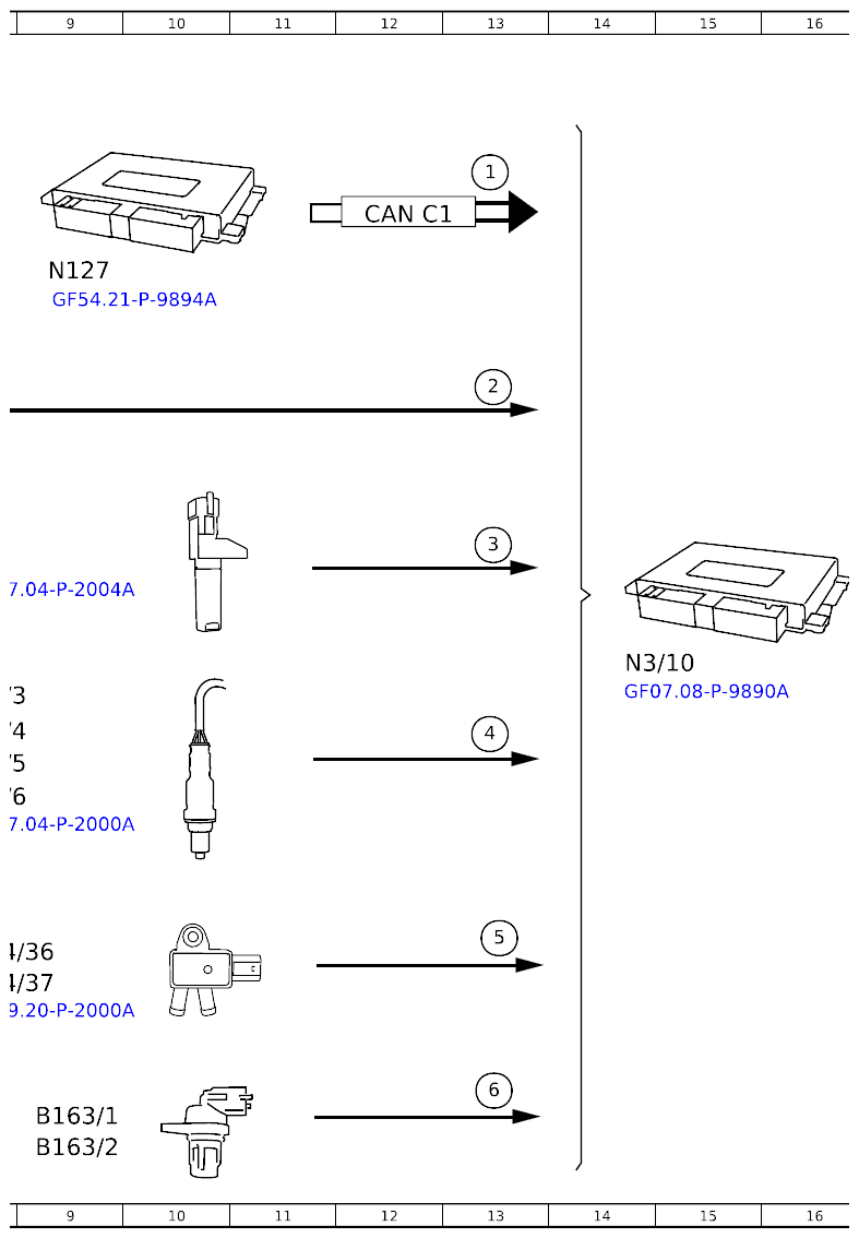 G16230391