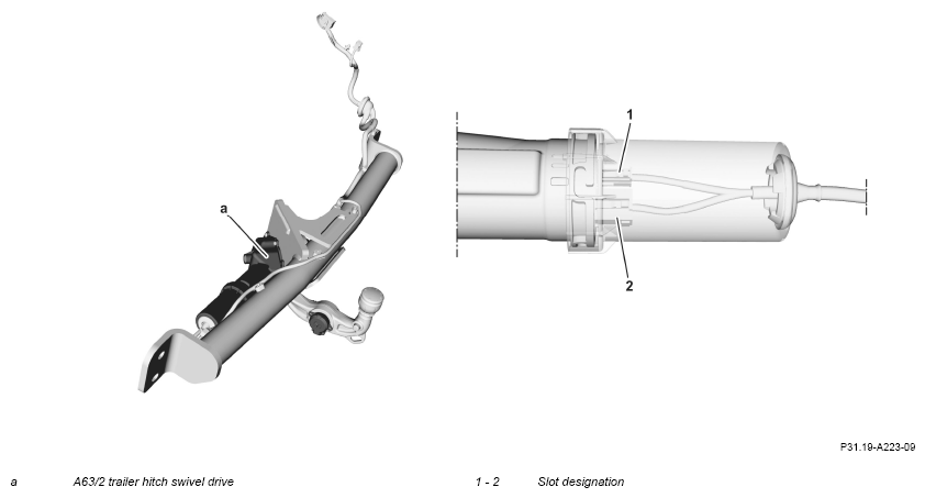 G16231081