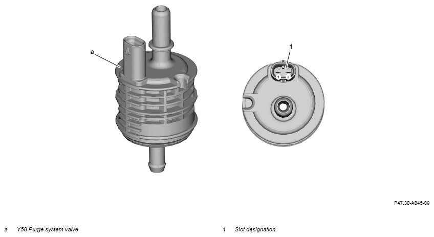 G16231632