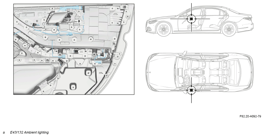 G16232231