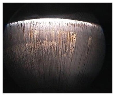 G16308266