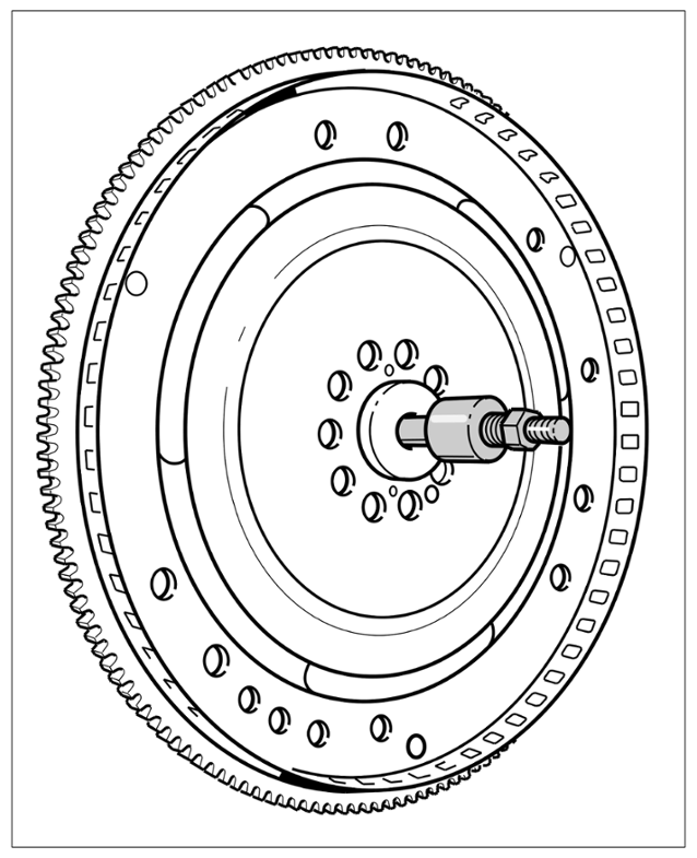 G16308375