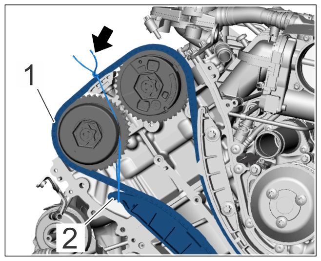 G16308554