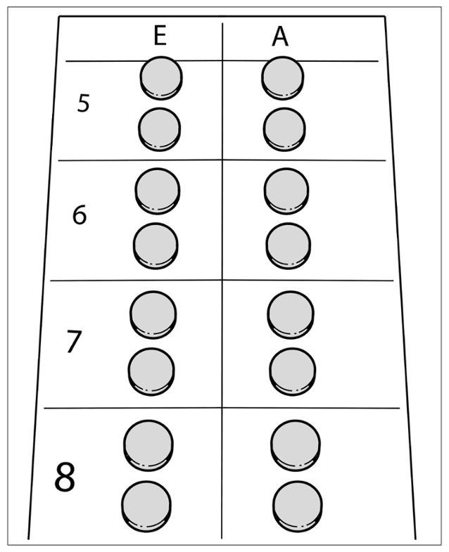 G16308596
