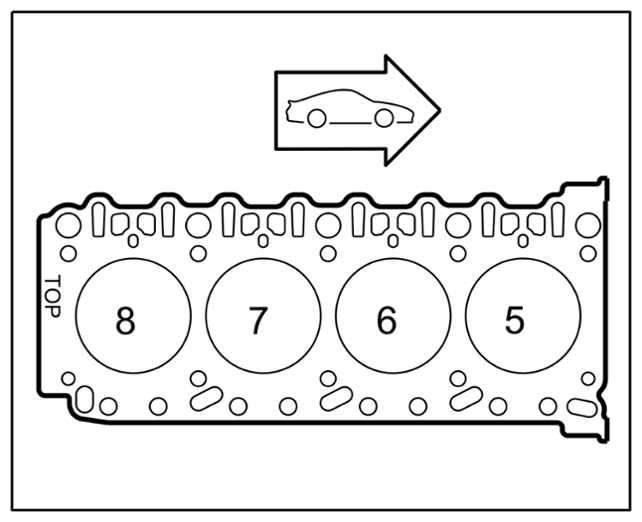 G16308665