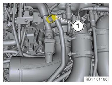 G16412598