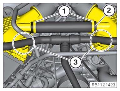 G16412654