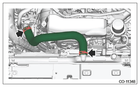 G16439482