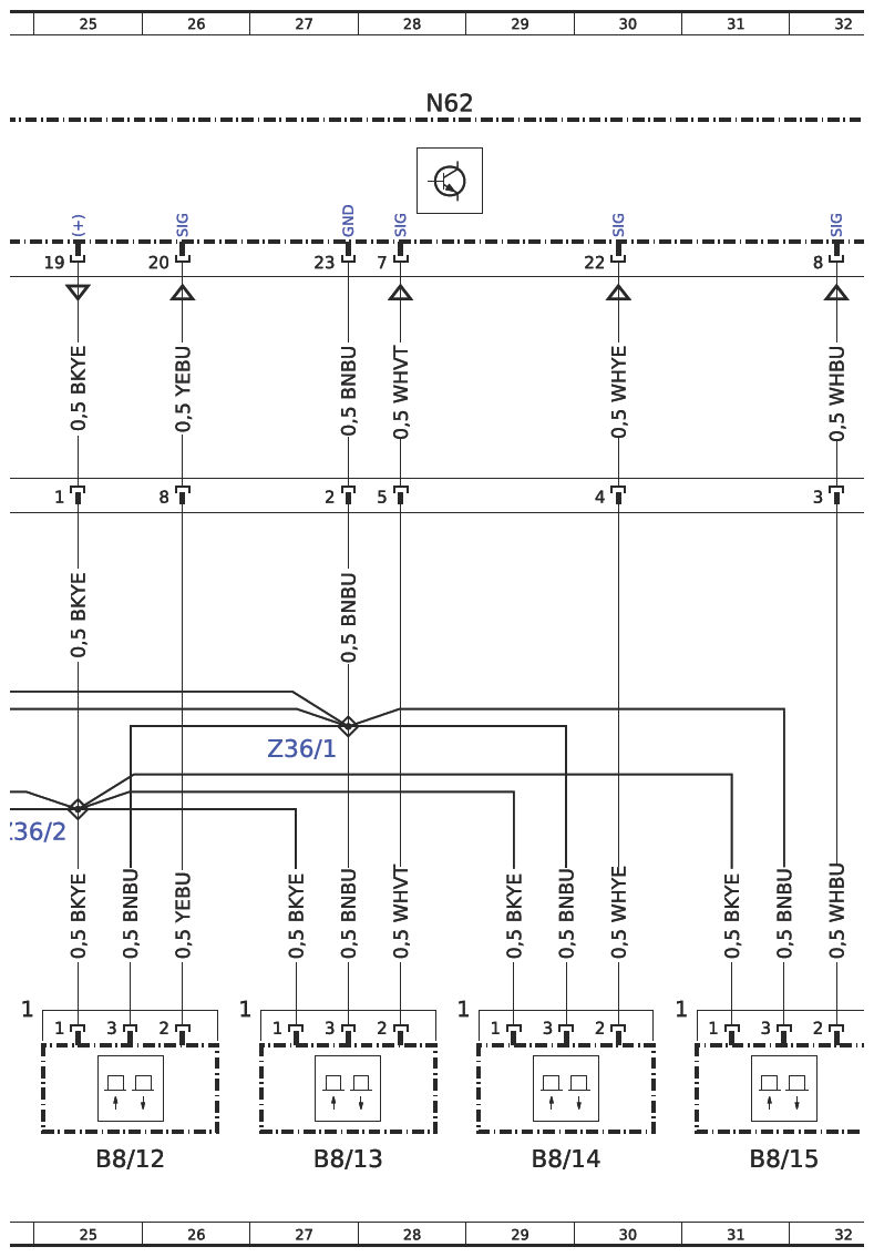 G16508794