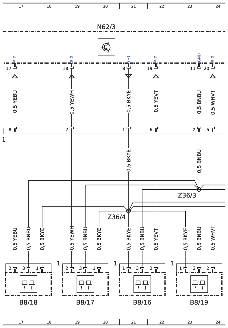 G16508824