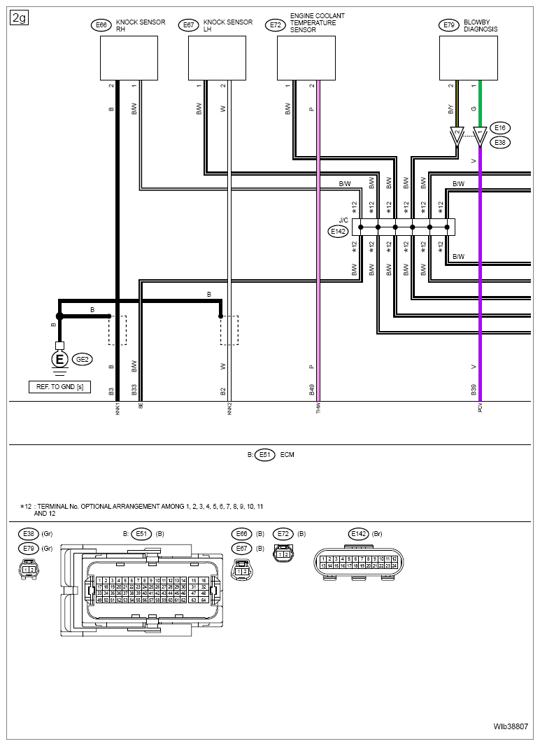G16541802