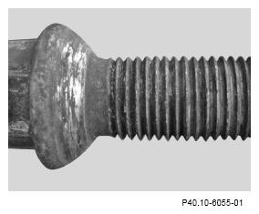 G16553648