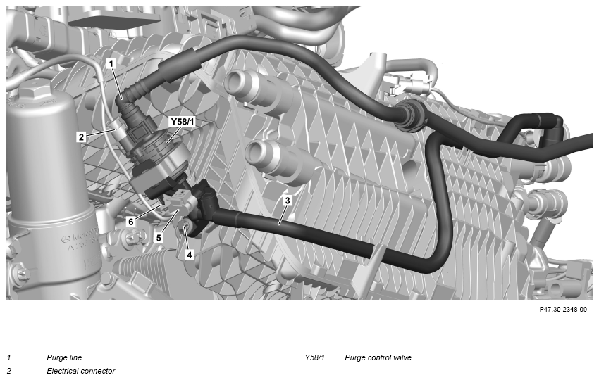 G16553926