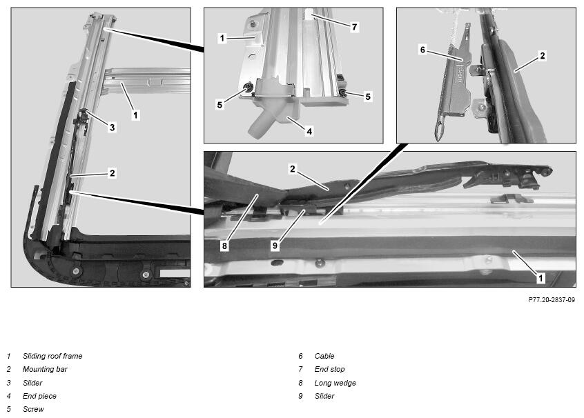 G16556024
