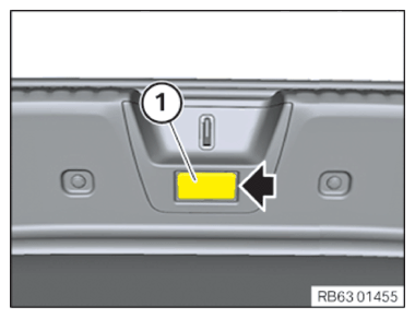 G16580131