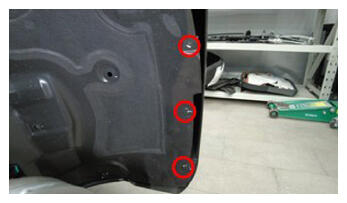 G16587316