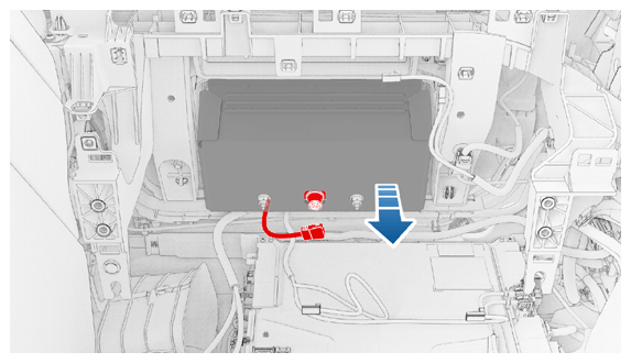 G16589486