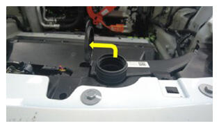 G16596418