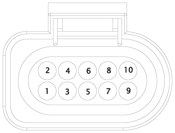 G16610491