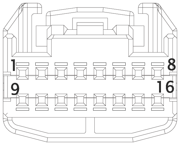 G16610598