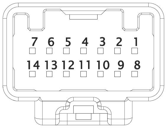 G16611394