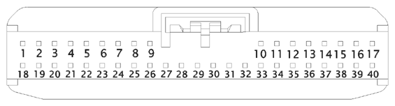 G16612533