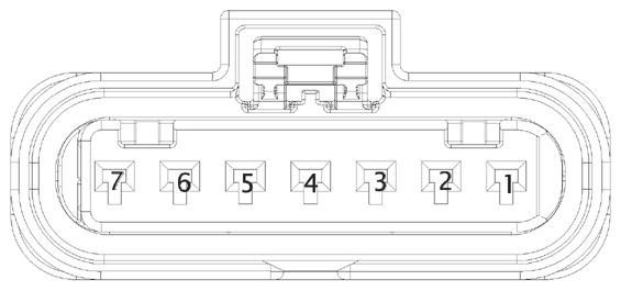 G16612575