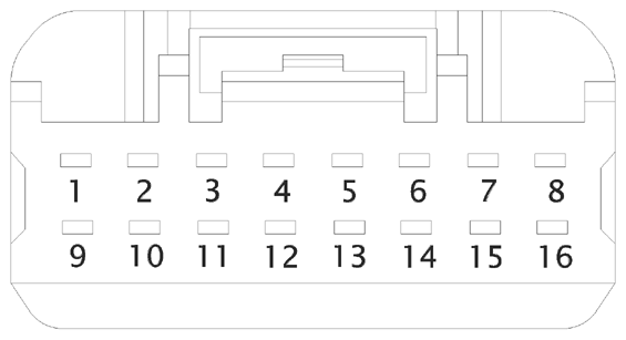 G16612650