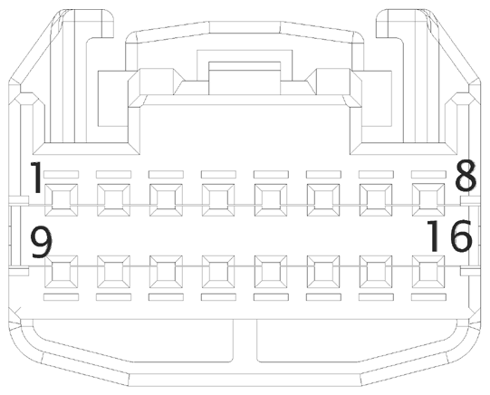 G16612658