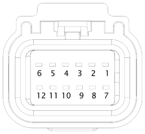 G16612868