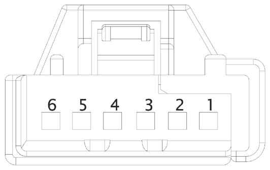 G16613086