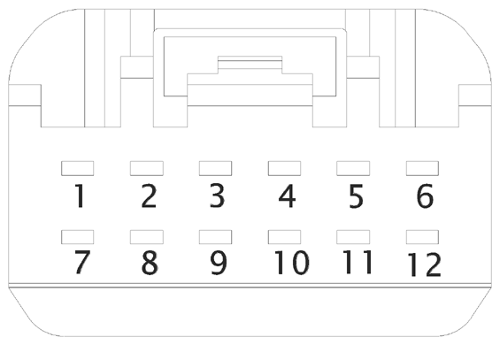 G16613096