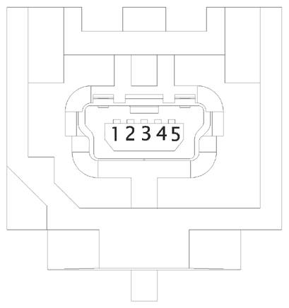 G16613281