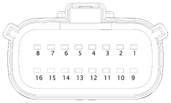 G16613309