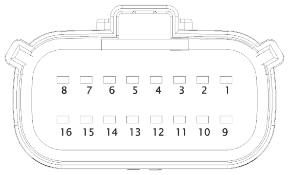 G16613317