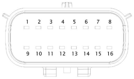 G16613319