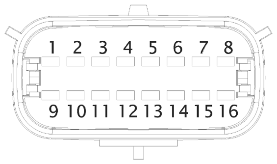 G16613335