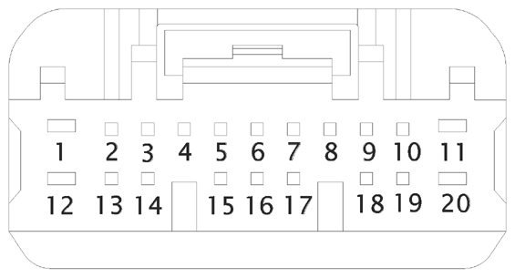 G16613341