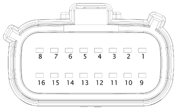 G16613364