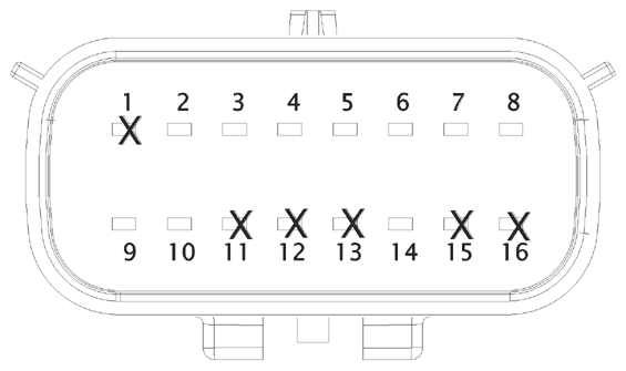 G16613369
