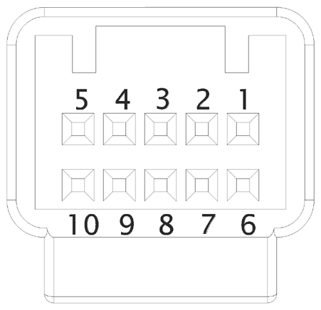 G16613381