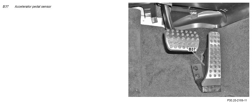 G16677595