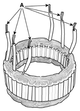 G16769613