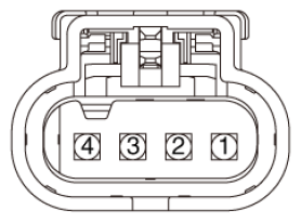 G16840652