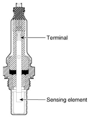 G16846951