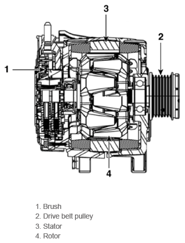 G16848198