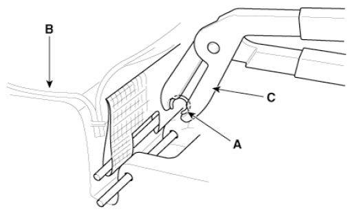 G16855636