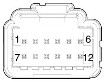 G16855674
