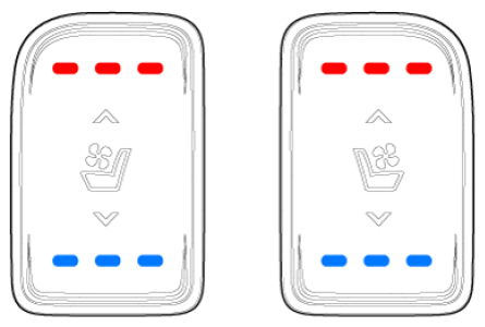 G16855855