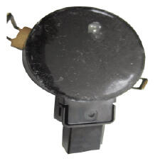 G16856116